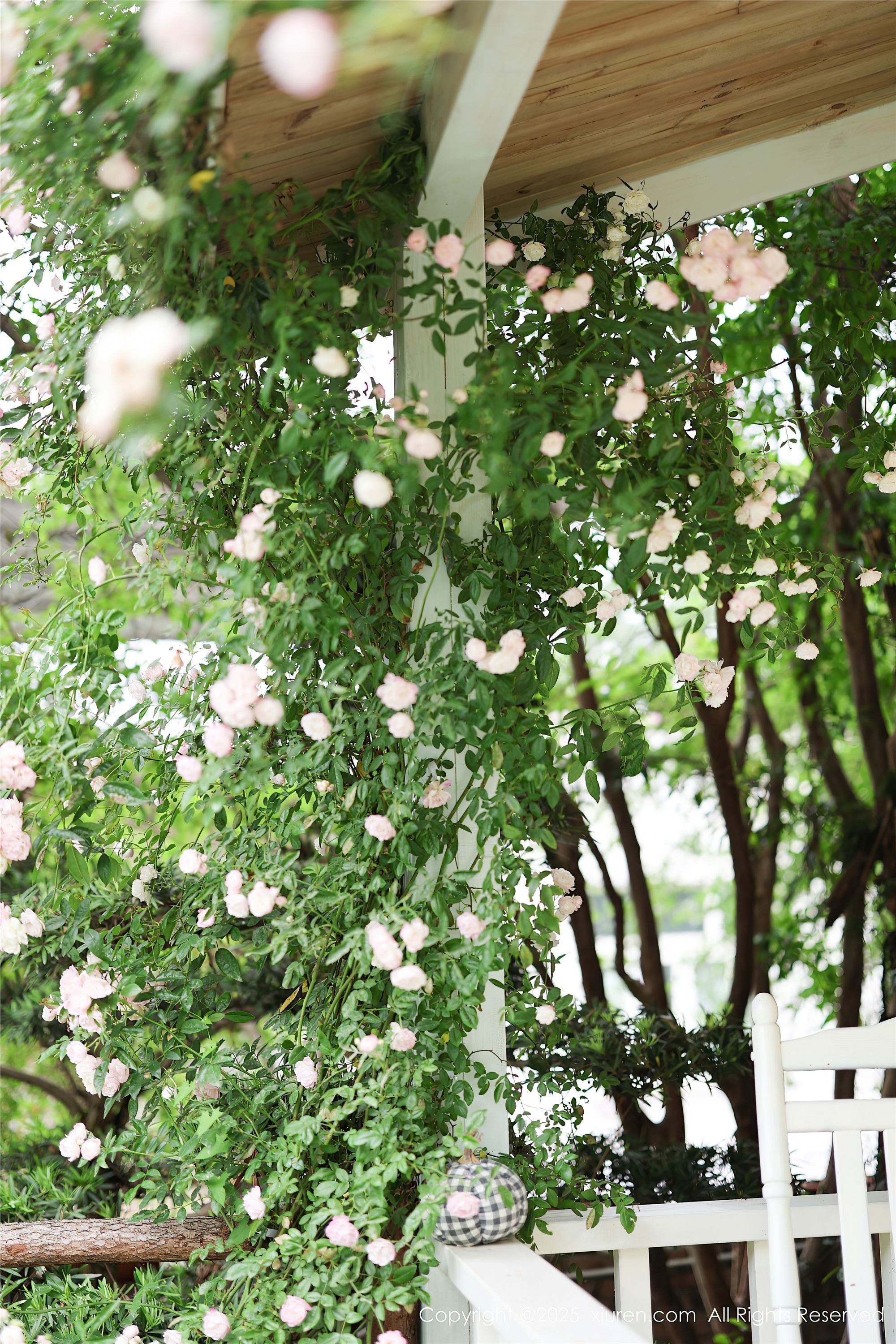 Xiuren秀人网 2025.04.29 NO.10215 茂木希子